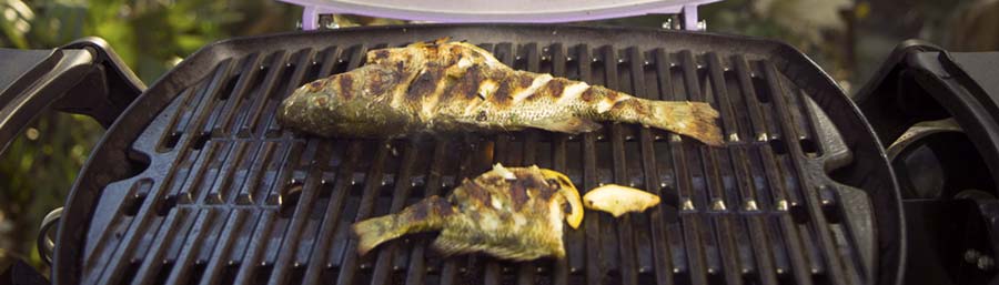 Grilled Whole Fish on the Weber Q