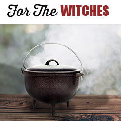 Shop Cast Iron Cauldrons